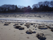 Eisbahn an der Dne: Strand zwischen Bansin und ckeritz.