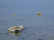 Scheinbar uferlos: Wasserflche und Himmel flieen ineinander.