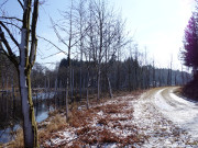 Wege durchs Moor: Zerninmoor im Sdosten Usedoms.