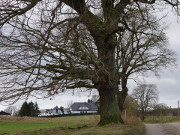 Weg von Neuhof: Von Heringsdorf nach Gothen.