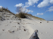 Sanddne am Ostseestrand: Der Wind hat Strandsand aufgetrmt.