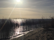 Gnitz, "Mwenort": Schmaler Sandstrand am Achterwasser.