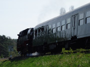 Traditionsfahrt auf Usedom: Reichsbahnzug vor Stubbenfelde.