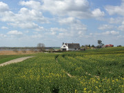 Usedomer Halbinsel Wolgaster Ort: Felder, Schilf und der Peenestrom.