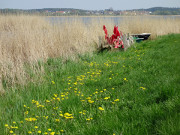 Am Deich: Fischerboot auf der Halbinsel Loddiner Hft.