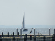 Mit dem Segelboot auf das Achterwasser: Hafen Zinnowitz.