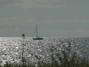 Greifswalder Bodden: Segelboot am Peenemnder Haken.