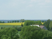 "Energiefrchte": Landwirtschaft neuen Typus' auf Usedom.