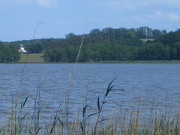 Blick ber den Schmollensee: Usedomer Hinterland.