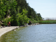 Sandstrand am Achterwasser: Usedomer Halbinsel Loddiner Hft.