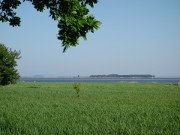 Schilfland und blauer Himmel: Usedoms Nachbarinsel Ruden.