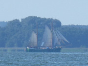 Segelschiff auf dem Peenestrom: Boddengewsser Usedoms.