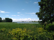 Blick Richtung Achterwasser: Rieck bei Lttenort.