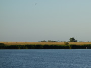 Landschaft am Achterwasser: cker bei Steinort.