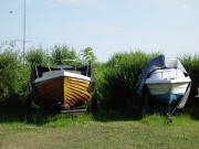 Auf dem Trailer: Warten auf Bootsausflge auf dem Achterwasser.