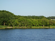 Kleine Sandstrnde: Achterwasser am "Rauhen Berg".