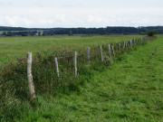 Weite Landschaft: Das Thurbruch im Usedomer Hinterland.