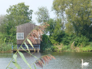 Schpfwerk am Kachliner See: Thurbruch auf Usedom.