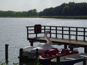 Zwischen Klpinsee und Stubbenfelde: Tretboote im Klpinsee.