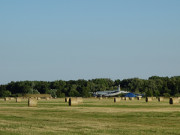 Altes Fluggert: Wiesenland und Flugzeugbunker.