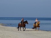Mit dem Pferd an die Ostsee: Reiterinnen am Strand von Ückeritz.
