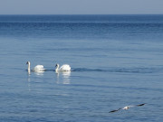 Fast wie im Sommer: Perfektes Strandwetter auf Usedom.