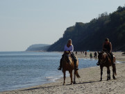 Reiterferien auf Usedom: Pferde auf dem Ostseestrand.