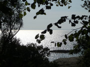 Haffland von Usedom: Blick von der Steilkste.