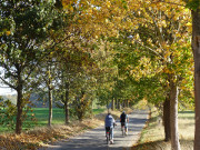 Strae zum Ostseebad Ahlbeck: Radfahrer bei Gothen.