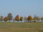 Strae von Gothen nach Ahlbeck: Phantastisches Herbstwetter auf Usedom.