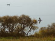 Boote auf dem Achterwasser: Blick vom Loddiner Hft.