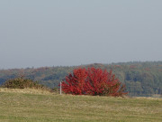 Ein Fest der Farben: Herbst im Naturpark Insel Usedom.