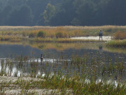 Tmpel: "Wattenmeer" an der Halbinsel Peenemnder Haken.