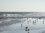 Wunderbares Licht auf Usedom: ckeritzer Strand am Morgen.