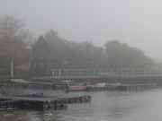 Reiz des Undeutlichen: Am Achterwasserhafen von ckeritz.