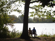 Ruheplatz am Klpinsee: Herbst auf Usedom.