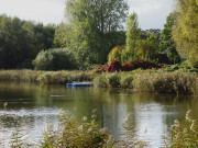 Letzte Boote: Herbstfarben am Ufer des Klpinsees.