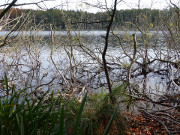 Waldsee im Hinterland des Usedomer Kaiserbades Ahlbeck.