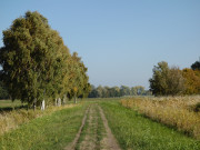 Herbstfarben am Achterwasser: Zwischen Zempin und Zinnowitz.