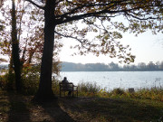 Bank am Klpinsee: Herbst in der Inselmitte Usedoms.