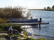 Schwne an der "Kehle": Verbindung von Usedomer See und Haff.