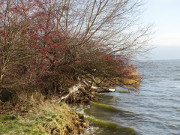 Farben im Sptherbst: Achterwasser am Gnitz.