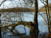 Der Wolgastsee: Waldsee im Sdosten Usedoms.