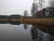 Farben des Novembers: Westufer des Kölpinsees.