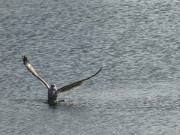 Fischerhafen von Freest: Bei Mwen sehr beliebt.