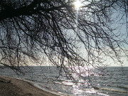 Blick ber das Haff: Sandstrand westliche von Kamminke.