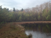 Der Mmmelkensee: Kleiner Waldsee am Langen Berg.