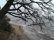 Sdspitze der Halbinsel Gnitz: Sandstrand am Peenestrom.