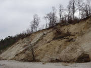 Stark beschdigt: Steilkste bei ckeritz.