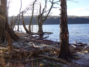 Nahe am Zerninmoor: Wolgastsee im Usedomer Hinterland.